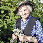 Sibirska travarka tvrdi da je ova biljka najlekovitija – Zbog nje nije popila nijedan lek, a ima 81. godinu – RECEPT￼